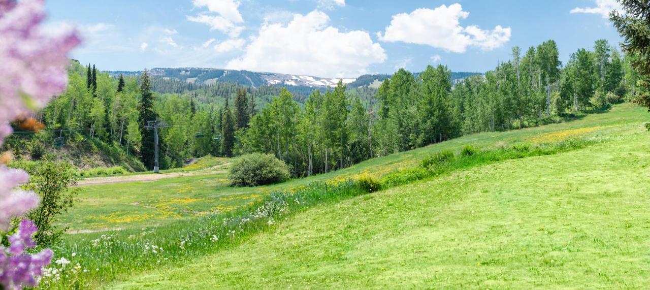 Laurelwood Condominiums 110 Snowmass Village Bagian luar foto